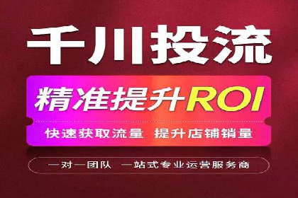 信息流广告的精准定位与效果优化案例分析